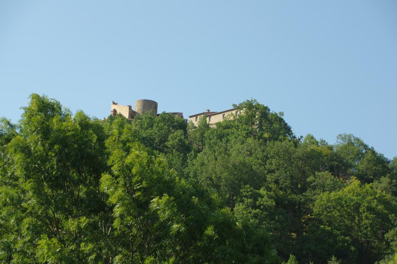 Tres Vents Del Roser - Grand Appartement Prats-de-Mollo-la-Preste Buitenkant foto